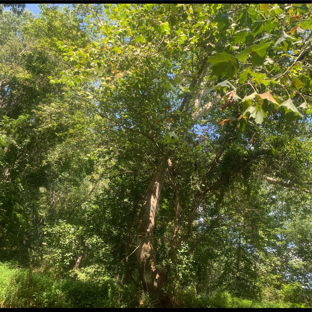 Meet your Posher, Virginia